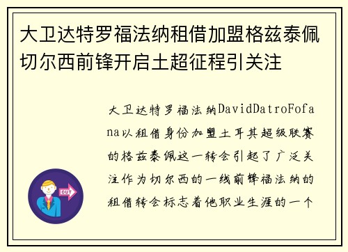 大卫达特罗福法纳租借加盟格兹泰佩切尔西前锋开启土超征程引关注